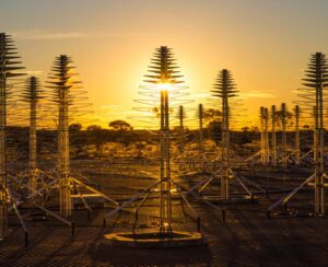 Prototype antennas for the SKA telescope in Australia.