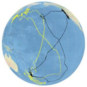 Tracks of two sooty shearwaters (Ardenna grisea) from their breeding islands off New Zealand, to their feeding grounds in the Antarctic, and during their migration to, sojourn in, and migration from, either side of the North Pacific. Data from Shaffer et al. (2007), PNAS. 